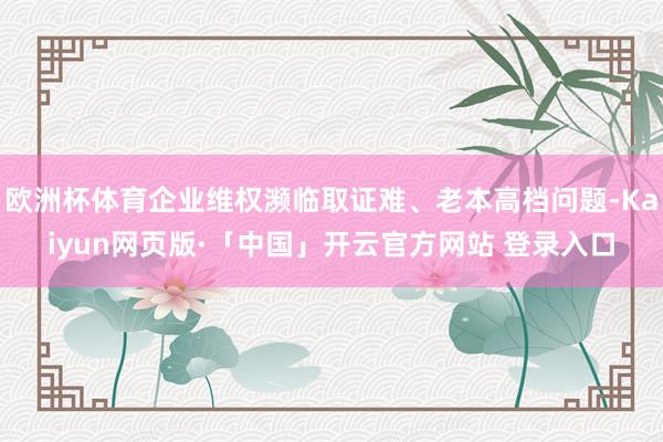 欧洲杯体育企业维权濒临取证难、老本高档问题-Kaiyun网页版·「中国」开云官方网站 登录入口