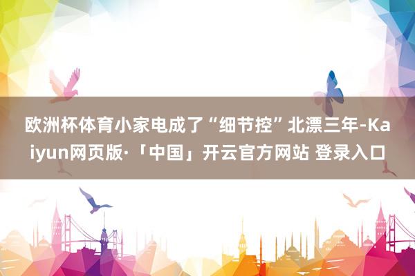 欧洲杯体育　　小家电成了“细节控”　　北漂三年-Kaiyun网页版·「中国」开云官方网站 登录入口