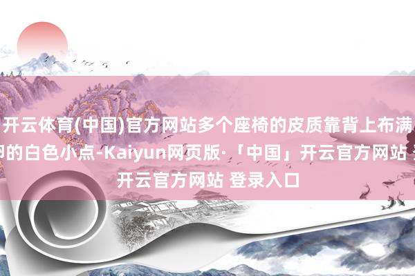 开云体育(中国)官方网站多个座椅的皮质靠背上布满疑似虫卵的白色小点-Kaiyun网页版·「中国」开云官方网站 登录入口