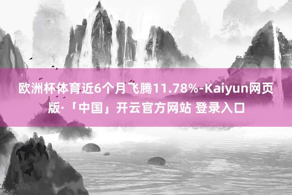 欧洲杯体育近6个月飞腾11.78%-Kaiyun网页版·「中国」开云官方网站 登录入口
