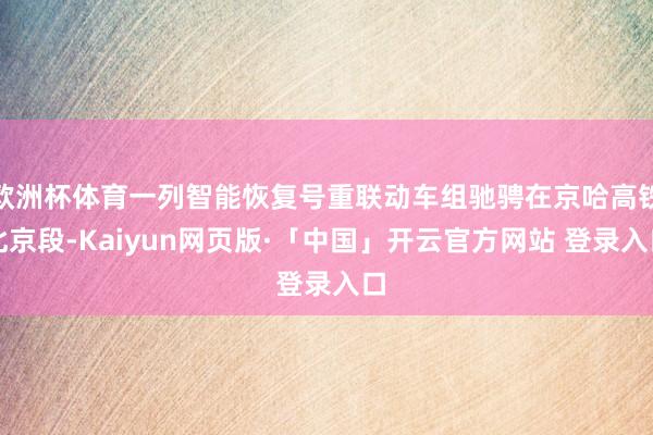 欧洲杯体育一列智能恢复号重联动车组驰骋在京哈高铁北京段-Kaiyun网页版·「中国」开云官方网站 登录入口