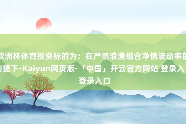 欧洲杯体育投资标的为：在严慎浪漫组合净值波动率的前提下-Kaiyun网页版·「中国」开云官方网站 登录入口